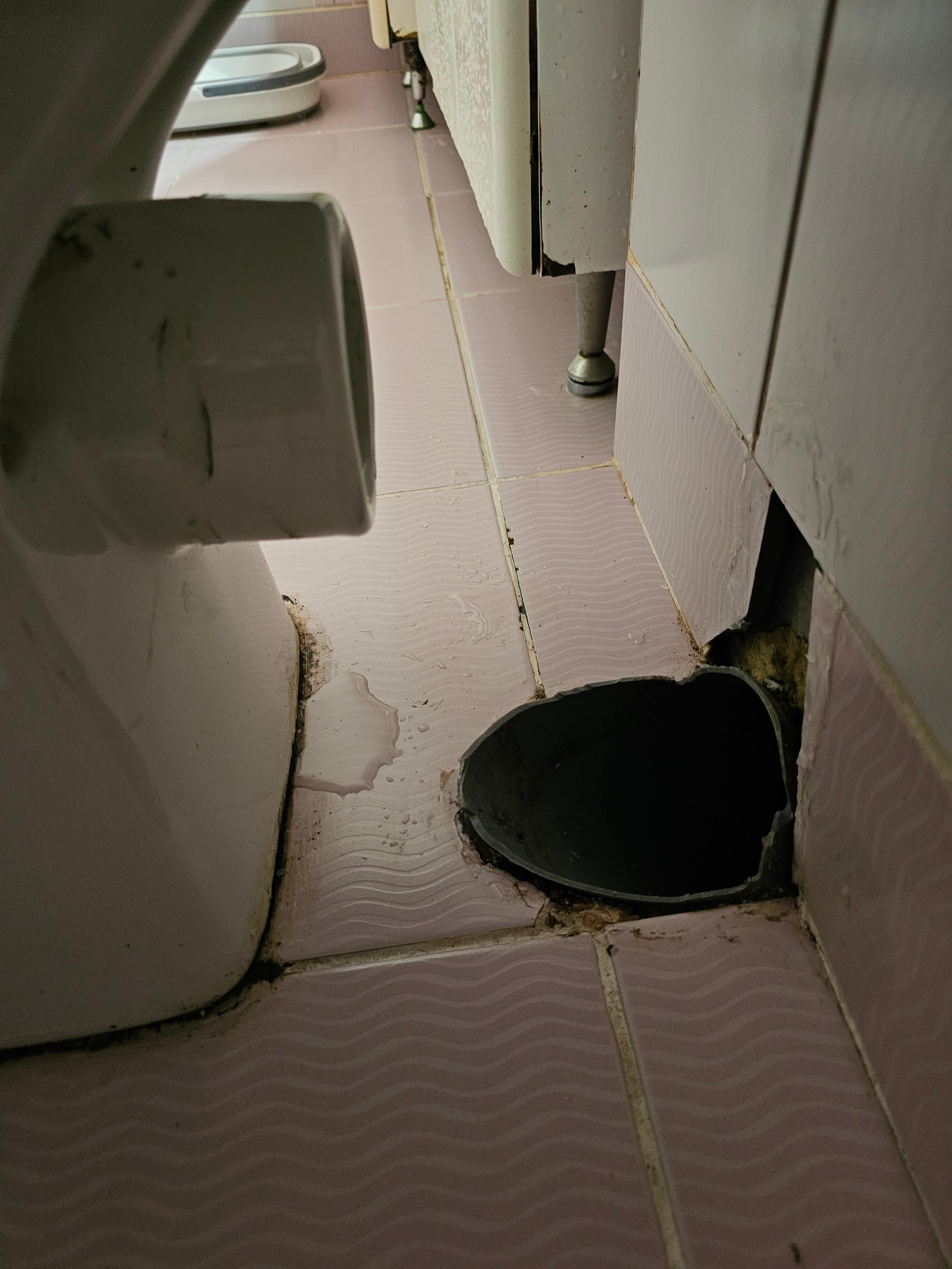 Домашен майстор 