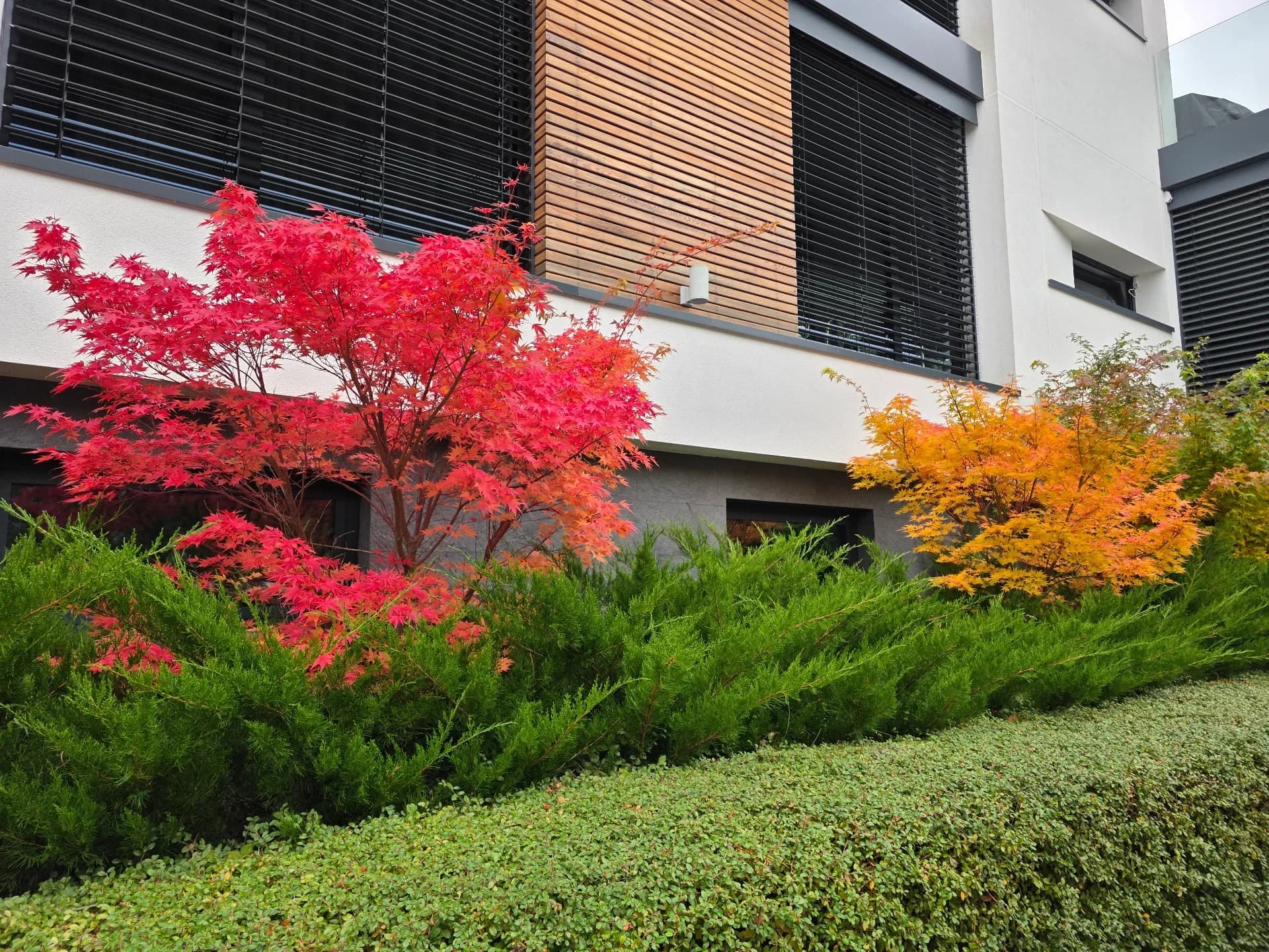 Професионална фирма за озеленяване, предлага всичко за свързано с Озеленяването и поливни системи.