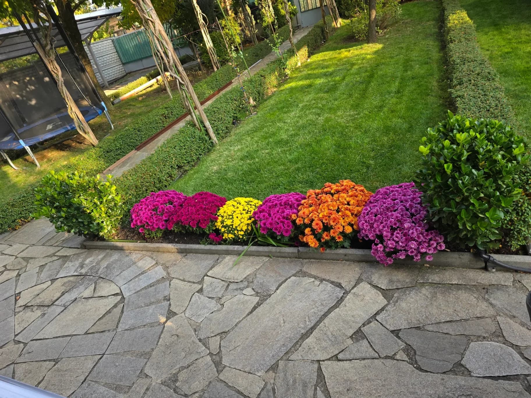 Професионална фирма за озеленяване, предлага всичко за свързано с Озеленяването и поливни системи.