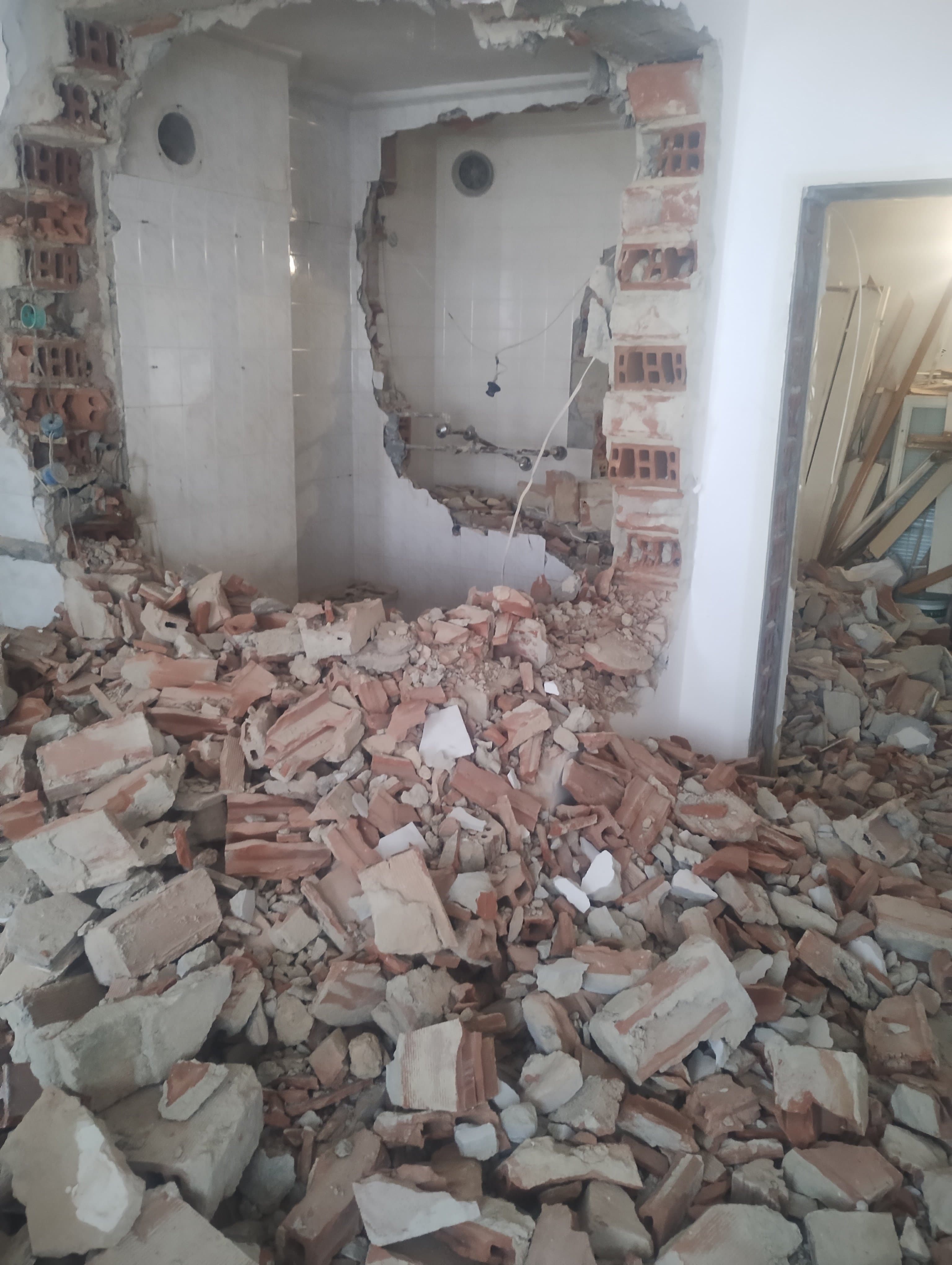 Кърти чисти извозва Добрич 