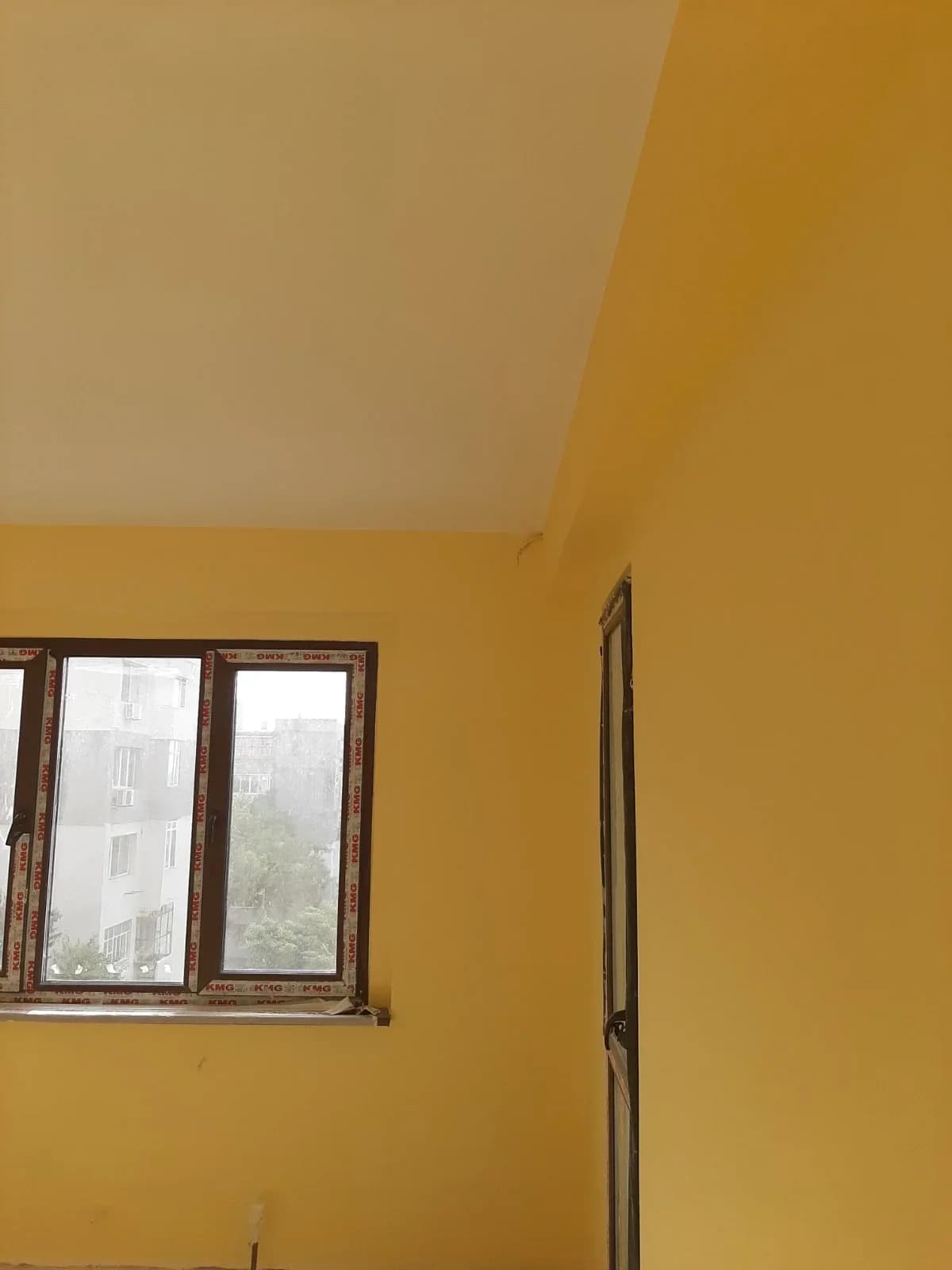 Предлагам  услуги по:Шпакловка и боядисване