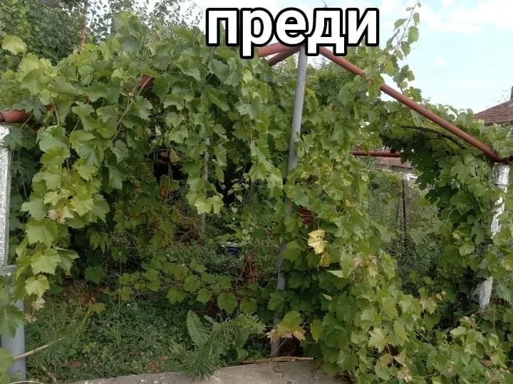 Косене на малки и големи площи