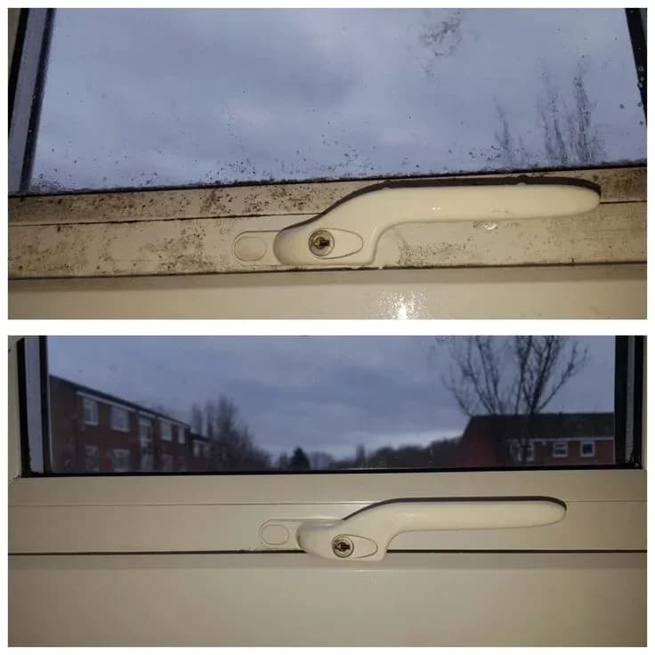 професионално почистване за дома и офиса