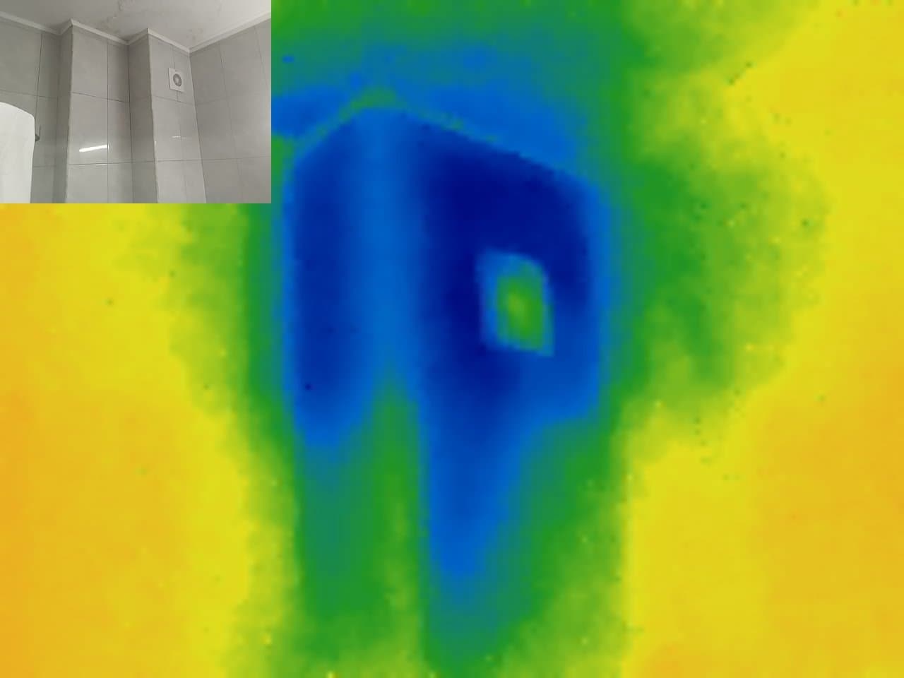 Посещение с термокамера 