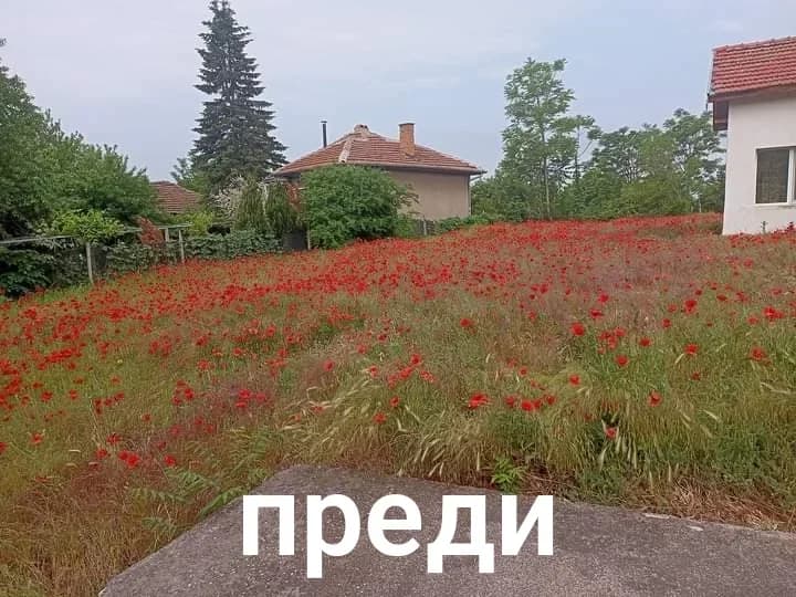 Косене на малки и големи площи
